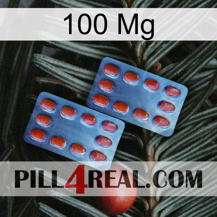 100Mg 05